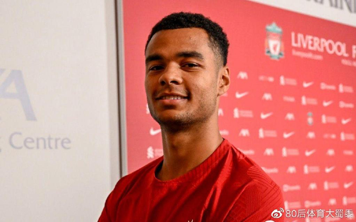 精力投入到 精力投入到