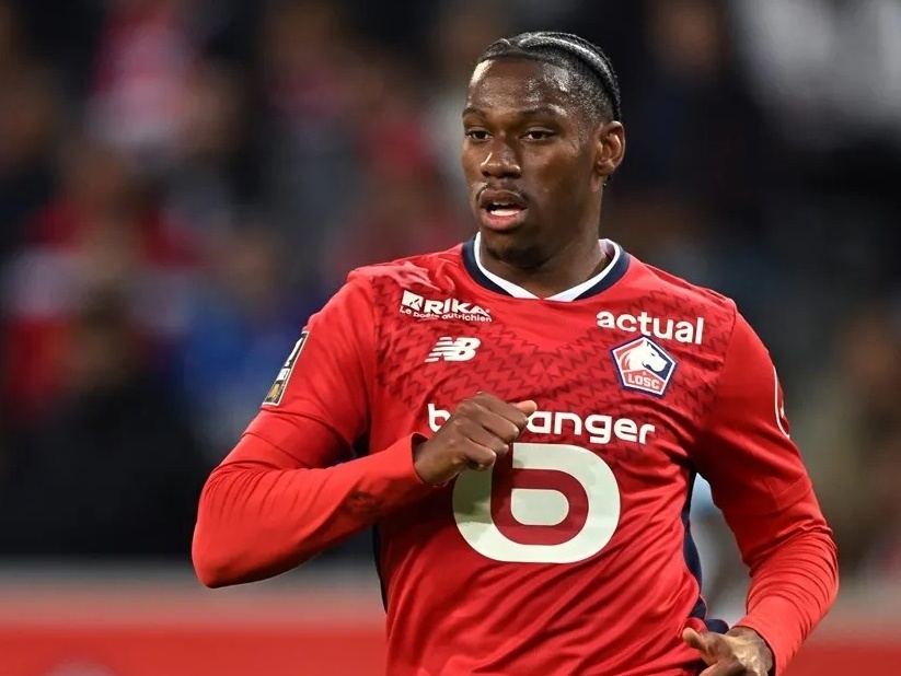 体育队伍的 体育队伍的